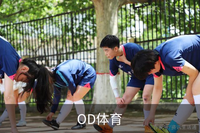 关于OD体育